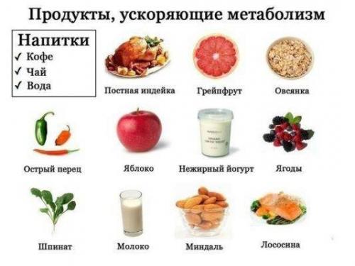 Жиросжигающие продукты для похудения таблица. Принцип действия продуктов жиросжигателей