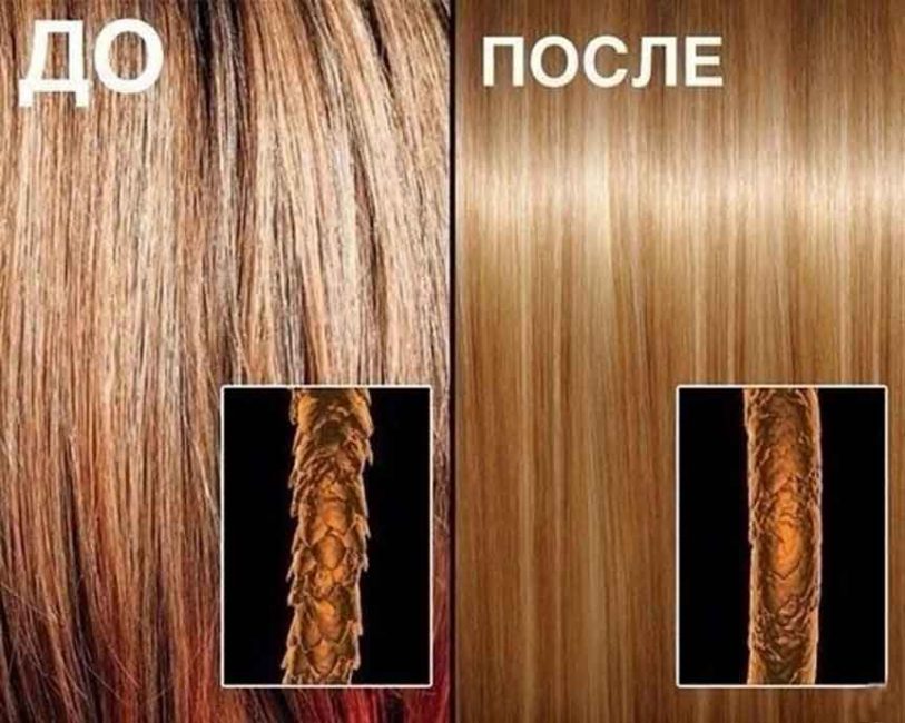 Влияние масла зародышей пшеницы на структуру волоса