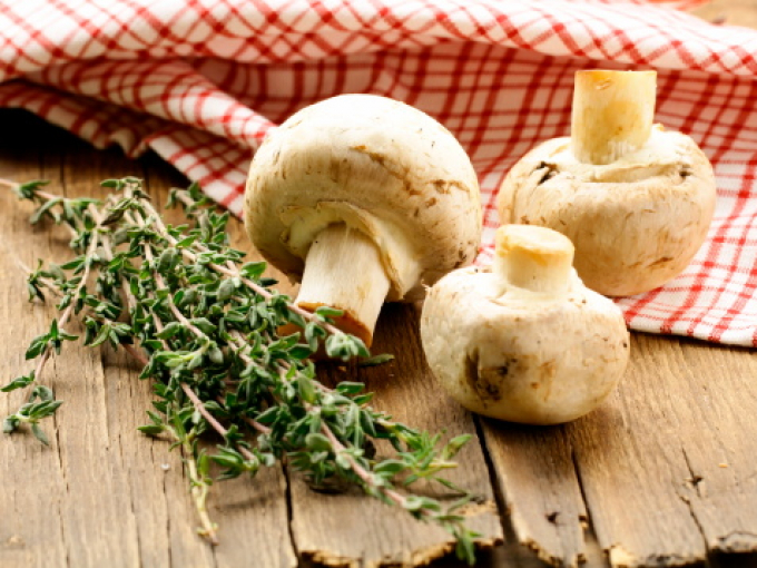 грибы можно есть во время диеты