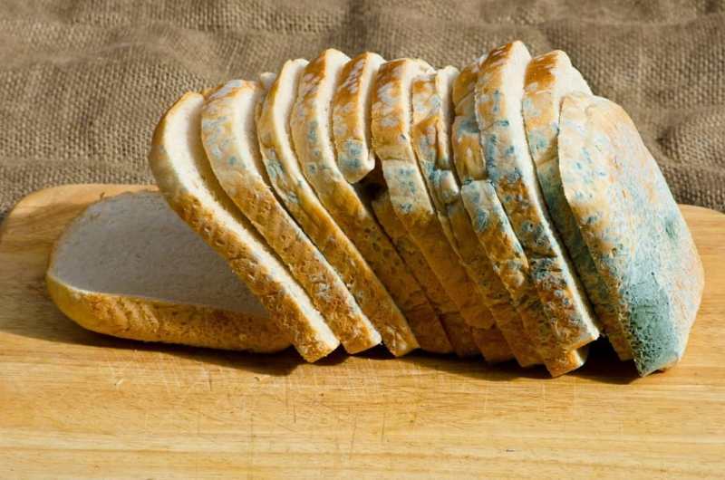 калорийность хлеба для тостов