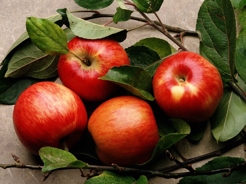 яблоки для похудения