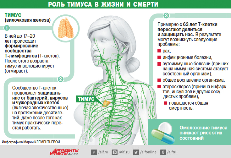 Нажимите для увеличения