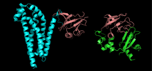 Структура белков