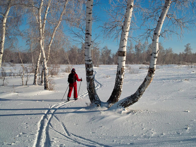 Польза лыжных прогулок для здоровья