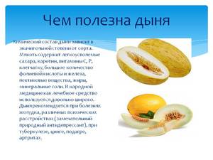 Чем полезна дыня
