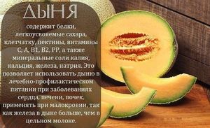 Дыня при панкреатите