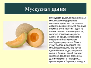 Дыня калорийность дыни 