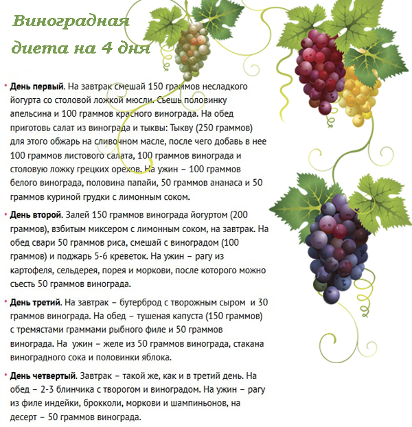 полезен ли виноград для похудения
