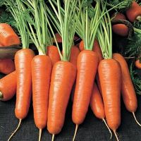 калорийность сырой моркови