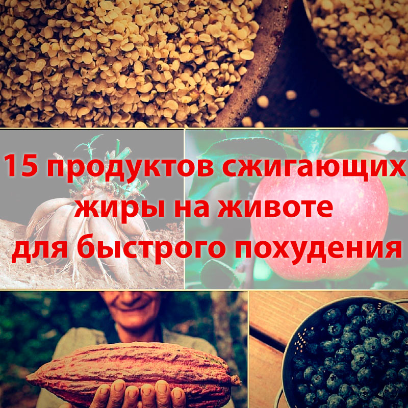 15 лучших продуктов для жиросжигания