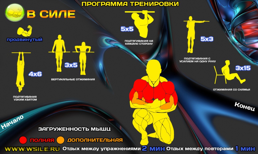 53 тренировочных программы для Начинающих, Продвинутых, Профессионалов и Мастеров