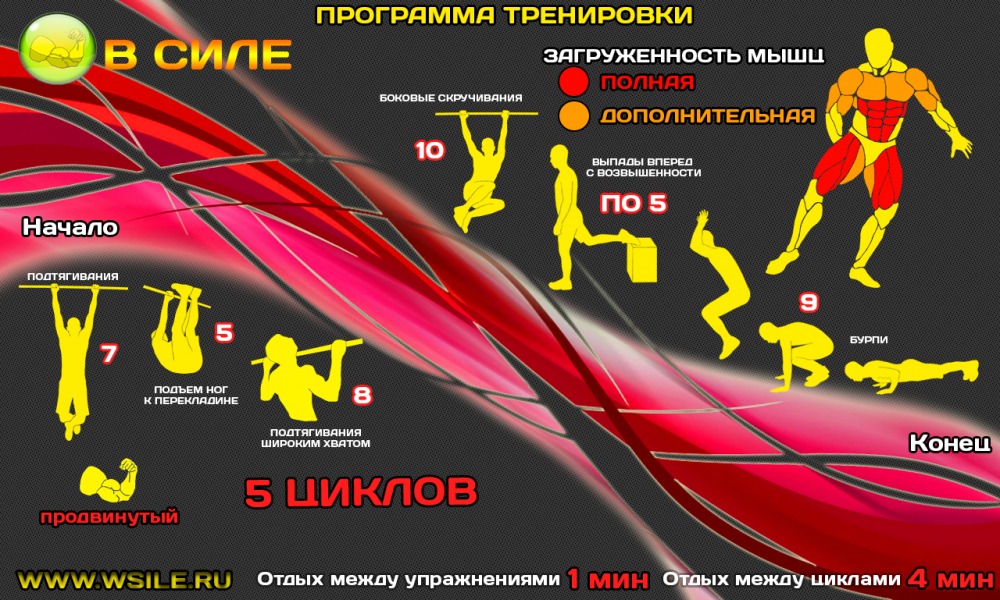 53 тренировочных программы для Начинающих, Продвинутых, Профессионалов и Мастеров