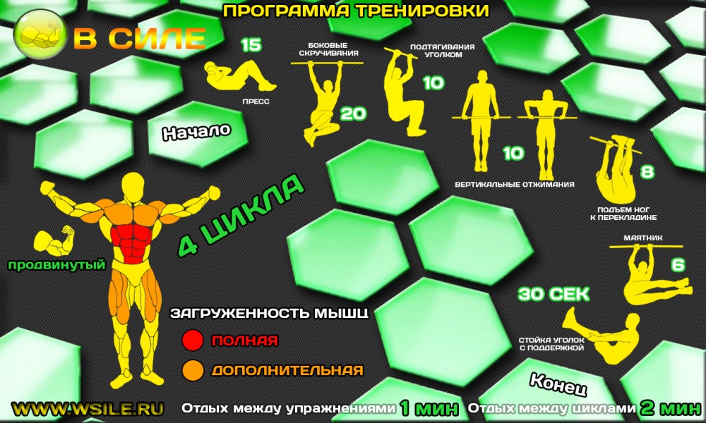 53 тренировочных программы для Начинающих, Продвинутых, Профессионалов и Мастеров