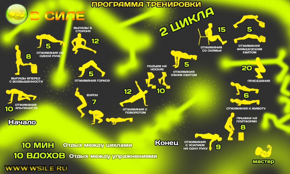 53 тренировочных программы для Начинающих, Продвинутых, Профессионалов и Мастеров