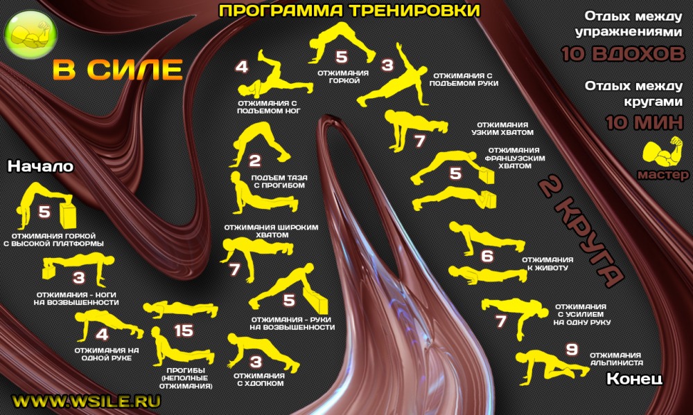 53 тренировочных программы для Начинающих, Продвинутых, Профессионалов и Мастеров