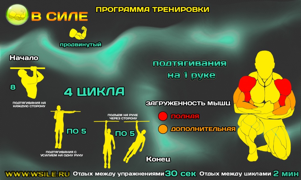 53 тренировочных программы для Начинающих, Продвинутых, Профессионалов и Мастеров