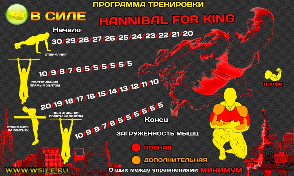 53 тренировочных программы для Начинающих, Продвинутых, Профессионалов и Мастеров