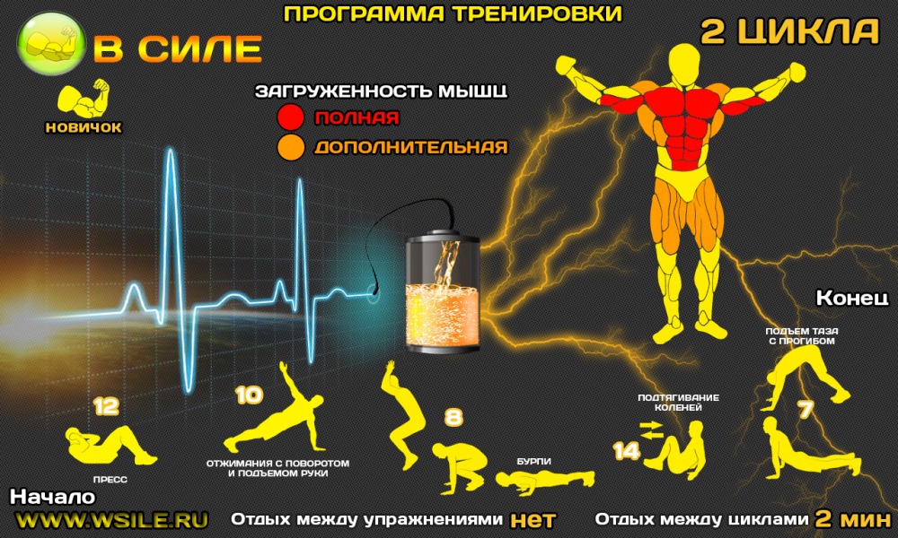 53 тренировочных программы для Начинающих, Продвинутых, Профессионалов и Мастеров