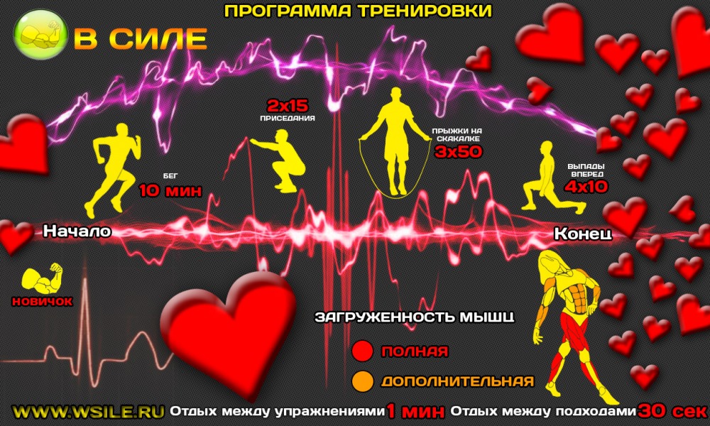 53 тренировочных программы для Начинающих, Продвинутых, Профессионалов и Мастеров