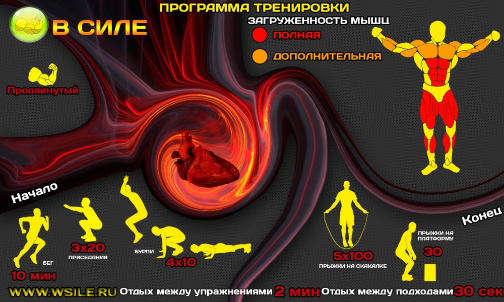 53 тренировочных программы для Начинающих, Продвинутых, Профессионалов и Мастеров