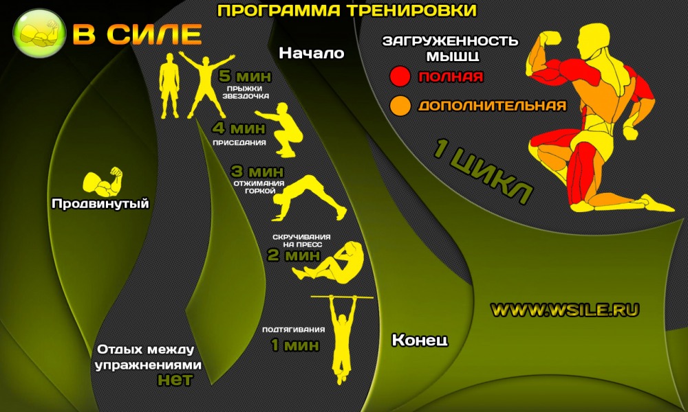 53 тренировочных программы для Начинающих, Продвинутых, Профессионалов и Мастеров