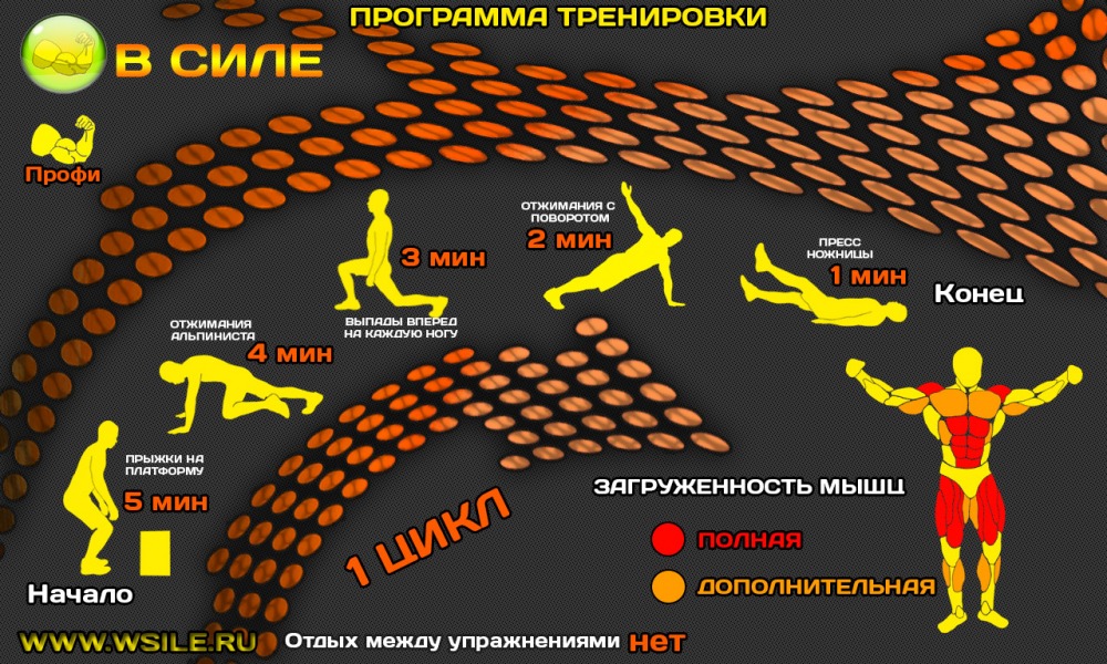 53 тренировочных программы для Начинающих, Продвинутых, Профессионалов и Мастеров