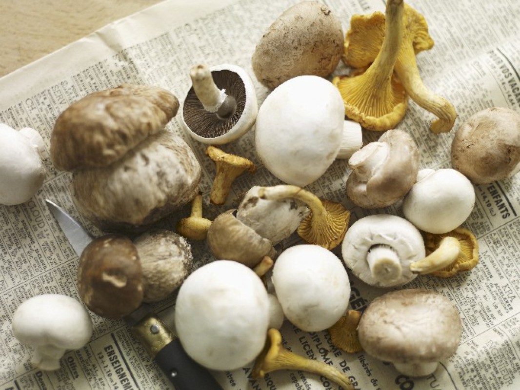 какие грибы можно есть при диете