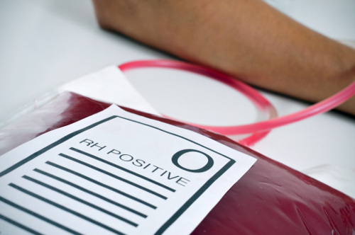 O-positive blood type diet