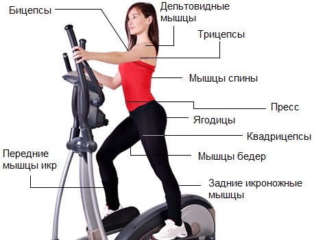 elliptical-machine-benefits