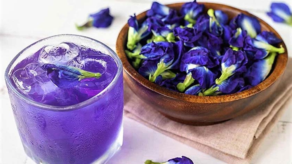 пурпурный чай чем полезен для здоровья и фигуры