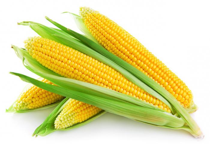 калорийность вареной кукурузы