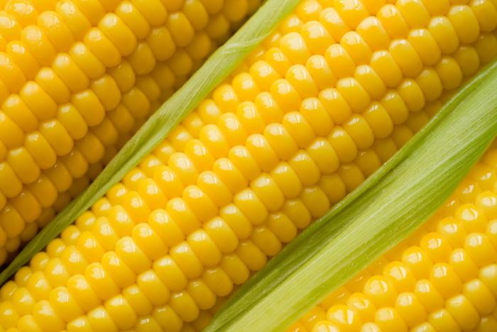 калорийность кукурузы вареной в початке