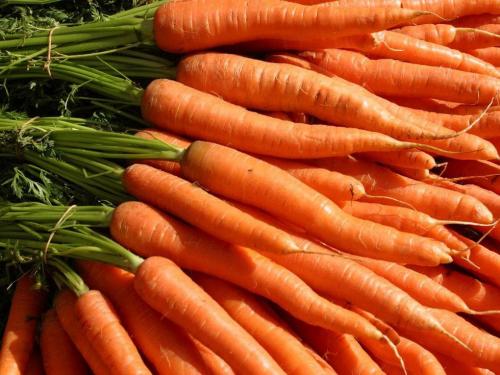 Салат из тертой моркови. 5 салатов из моркови, которые украсят любой стол