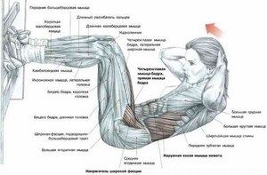 Прокачка пресса для девушек