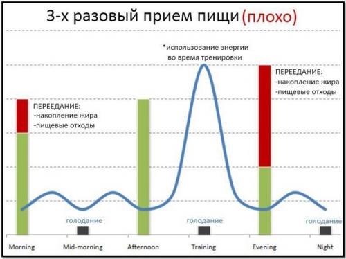 Сколько раз в день нужно есть.