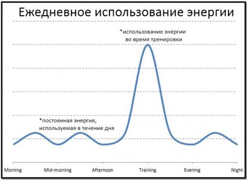 Сколько раз в день нужно есть человеку. Сколько раз есть в день нужно?