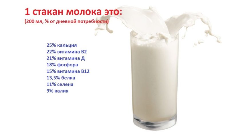 польза молока